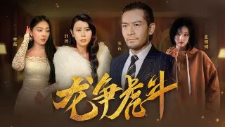 全天稳定计划网页版