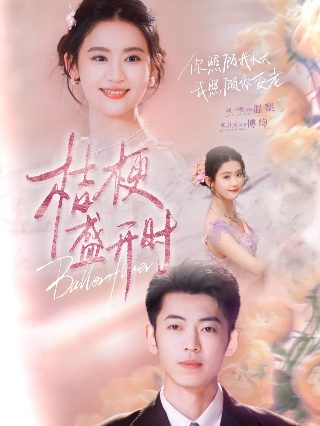 《使徒行者4》港剧在线观看全集下载高清免费
