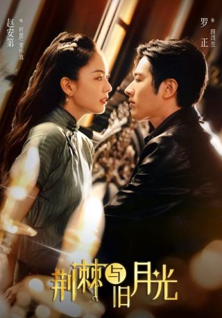 又见白娘子第八集视频