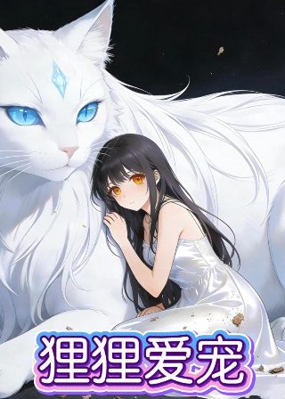 滇西虫谷全集观看