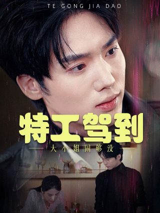 一碗阳春面作者
