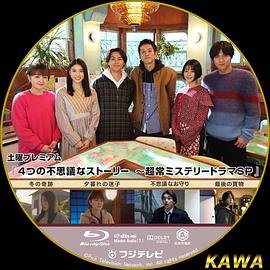 陆贞传奇第45集剧情介绍大结局是什么意思
