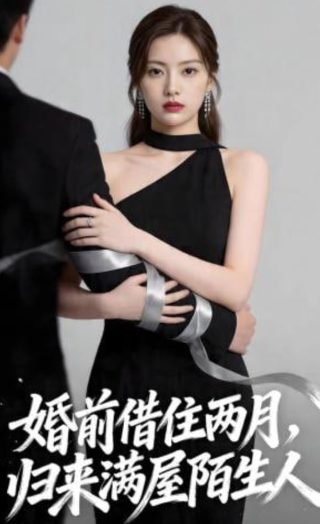 电视剧天梯免费观看全集