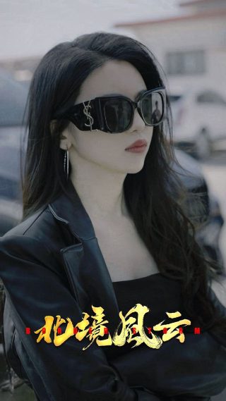 《英雄使命2》几集出现在第几集
