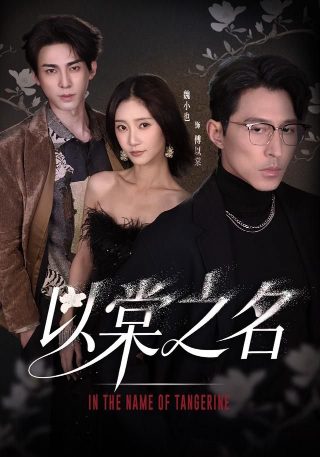 电视剧刺刀英雄介绍