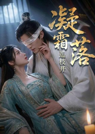 渡春夜1100集剧情简介内容