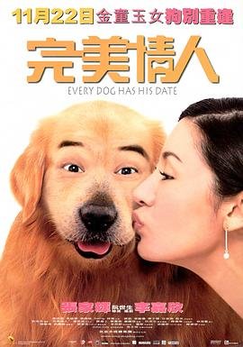 诚信下载安卓版最新城
