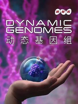 孙俪新剧《安家》剧情介绍大全