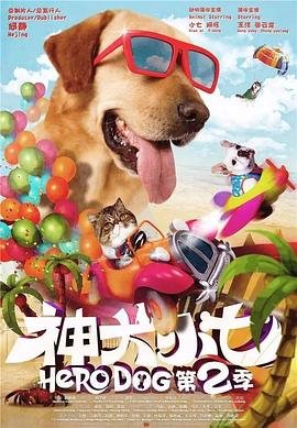 《睡沙发的人》观后感500字