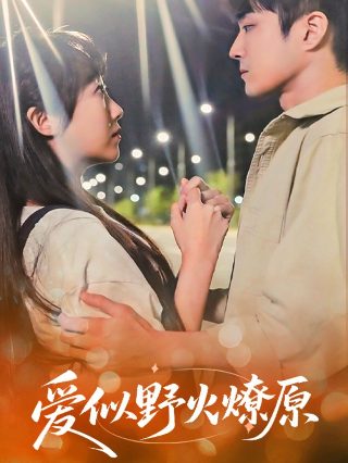 天意电视剧演员表名单大全