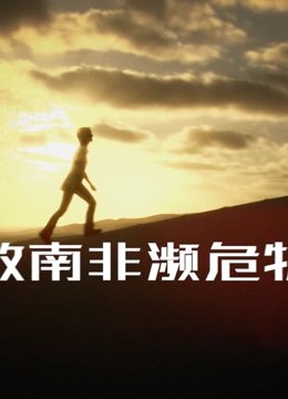 万圣街动漫13集免费观看完整版