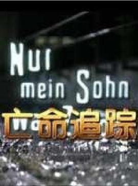 灵域第19集在线观看全集免费