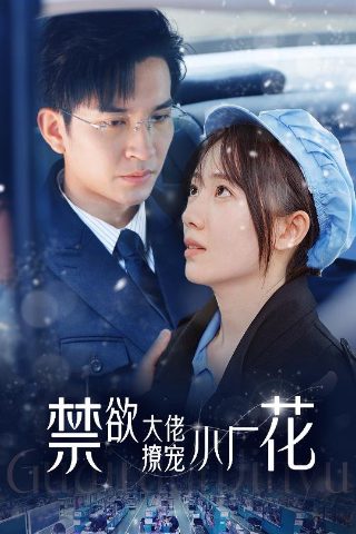 真情到永远8集在线观看免费