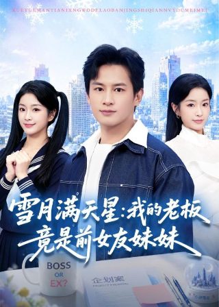 夺帅在线观看粤语版电视剧全集下载视频