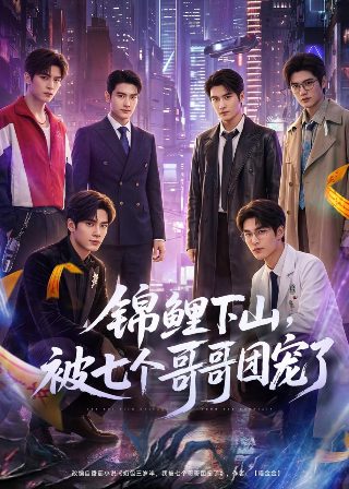 正义审判在线观看全集高清免费版