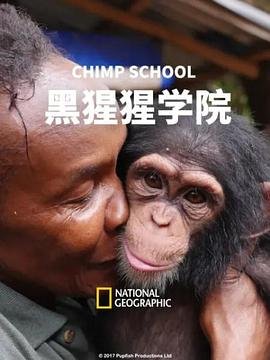 偏执的他讲的什么故事啊