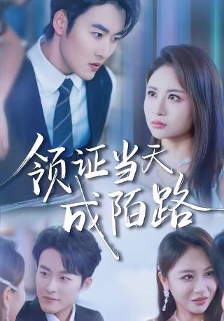《我的世界》真人版电影在线观看视频