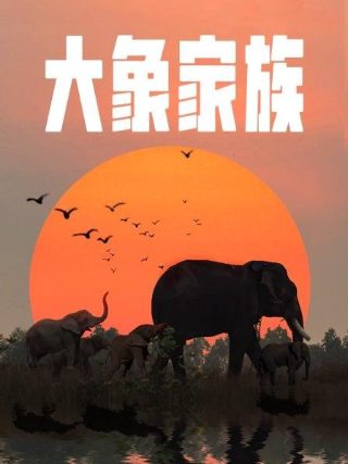 太阳召唤全集免费观看动漫