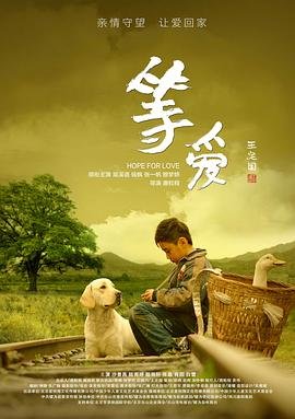 乘风踏浪电视剧完整版