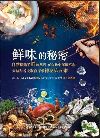 晚安第二话中文
