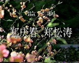 妻子多次出轨怎么办