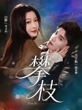 锦绣安宁第31集预告片