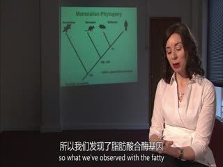 《逆袭》田栩宁梓渝免费观看爱美剧漫画全集下拉