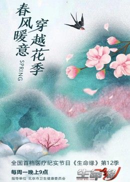 有爱才有家免费观看电视剧下载全集