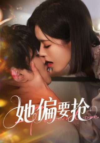 港剧《真相》剧情介绍分集