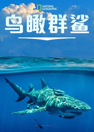 黑夜告白电视剧观看完整版高清
