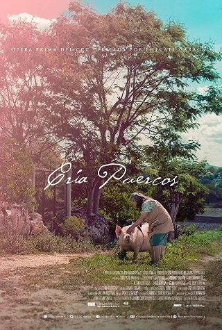 肉体创伤 高清