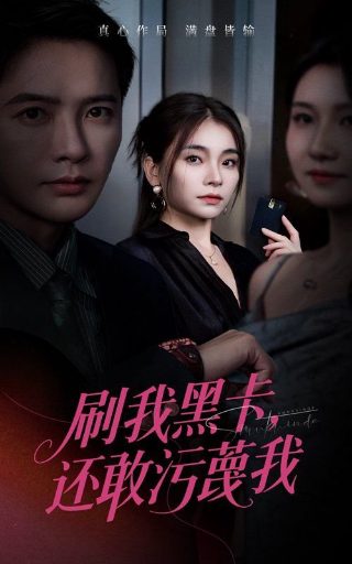 追风筝的人书籍封面介绍