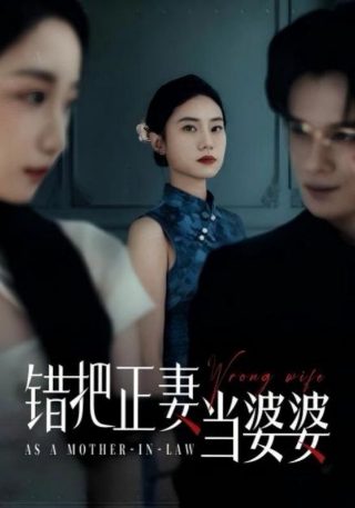 我怕来不及第41集央视网