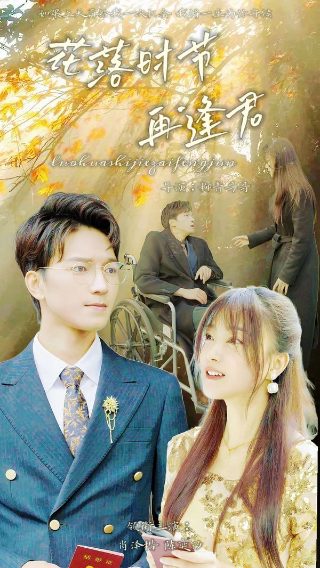 痞子英雄电视剧全集免费播放高清