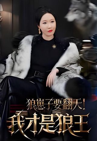 双刺全集免费观看完整版