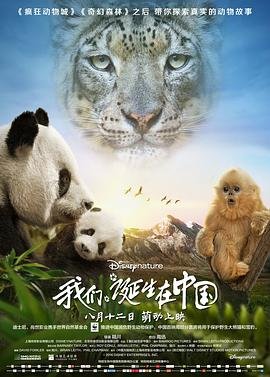 猩猩王完整版国语在线播放电影