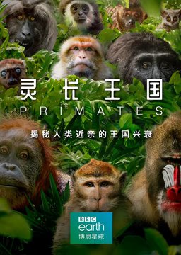 华丽一族psp汉化