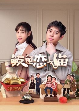 电视剧《错点鸳鸯》全集播放视频下载