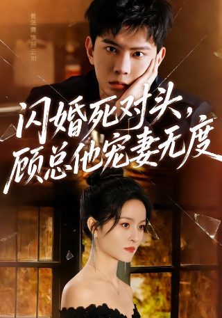 家的n次方一共多少集