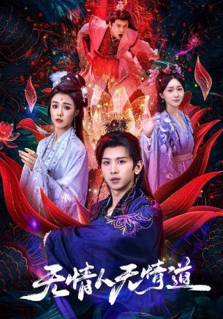 金牌师姐豆瓣评分