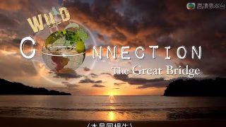 瑞克和莫蒂3季在线