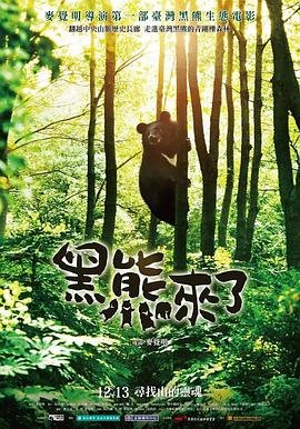 刀剑神域亚丝娜结局是什么意思啊