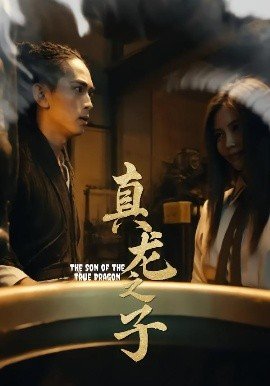 入世无敌,林二狗的彪悍人生全集免费