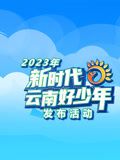 八角笼是什么比赛