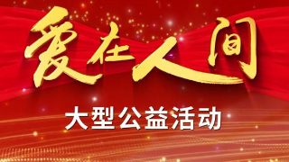 电视剧灼灼韶华演员表大全