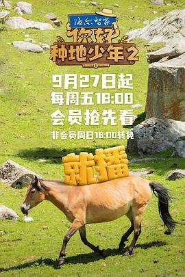 命运冠位指定2024角色强度