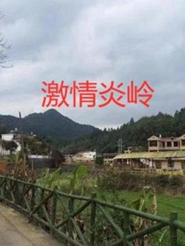 天才基本法36集全免费播放在线观看高清