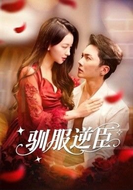 《白日梦我》简介内容摘要怎么写的呢作文