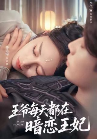 狄仁杰之夺魂梦魇电影解说
