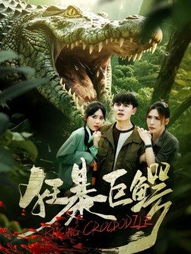 陌生人电视剧25